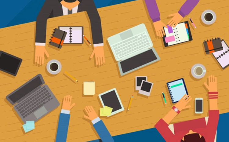  5 Best Fields in Pakistan to Scale Career