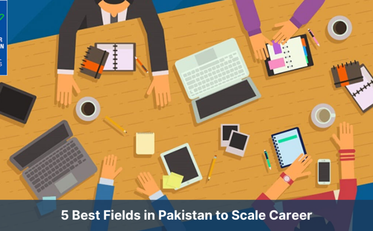  5 Best Fields in Pakistan to Scale Career
